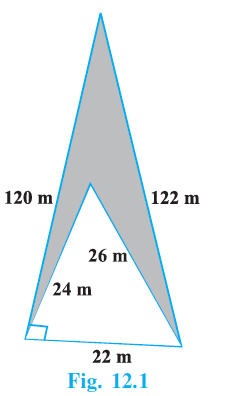 Page 116 Chapter 12 Class 9th NCERT Exemplar Page 116 Chapter 12 Class 9th NCERT Exemplar